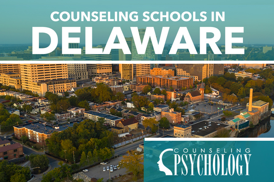 Best Online Counseling Programs in Delaware