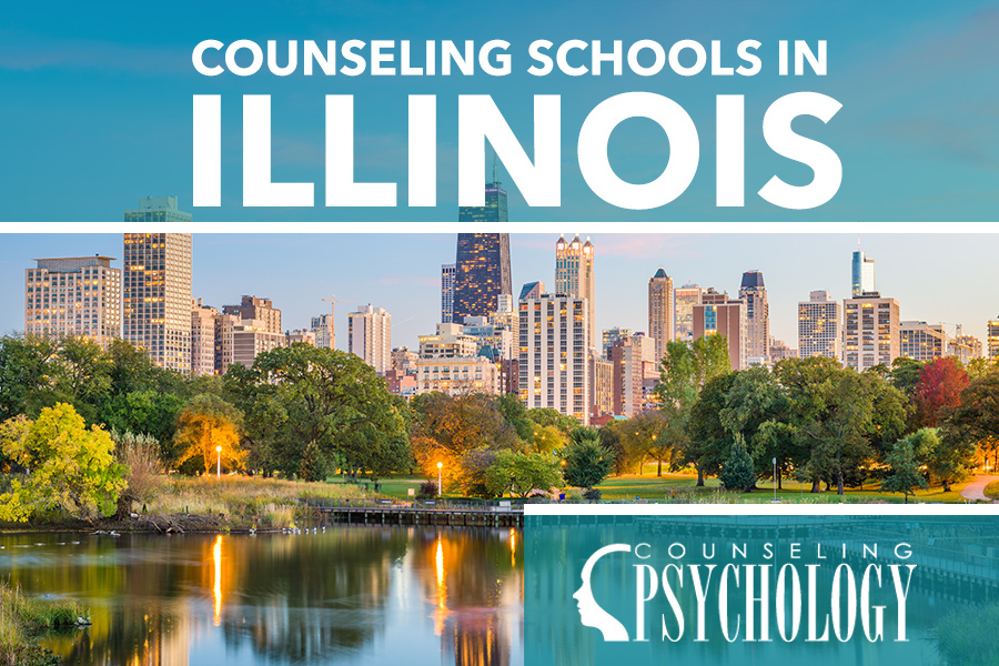 Best Master’s in Counseling in Illinois 2026 | Online & Affordable