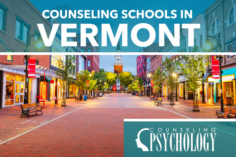 Best Online Counseling Programs in Vermont