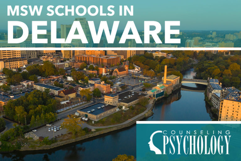 MSW Programs in Delaware