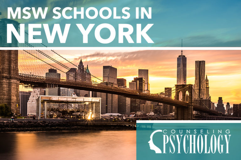 MSW Programs in New York