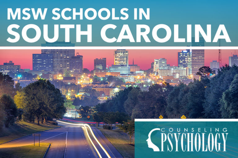 MSW Programs in South Carolina