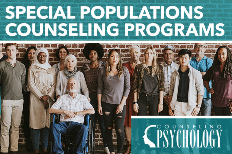 counselors in special populations