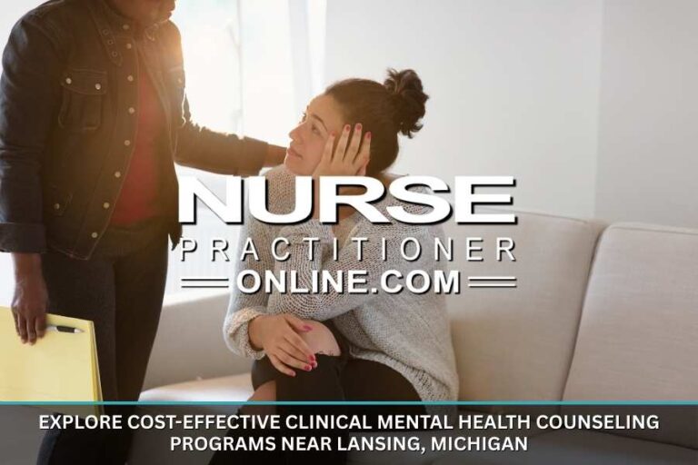 Cost Effective Clinical Mental Health Counseling Programs Near Lansing, Michigan