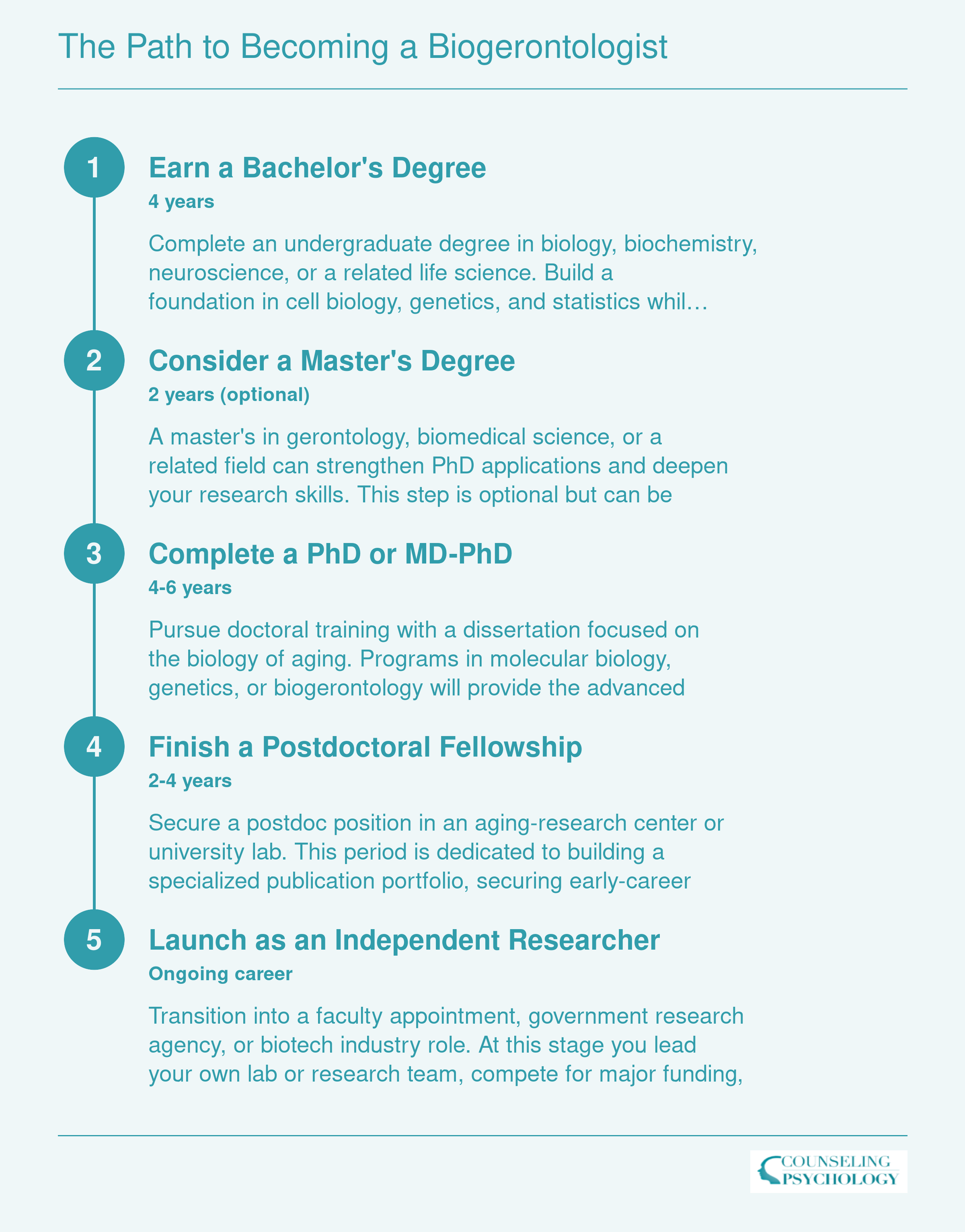 Five-stage credentialing ladder from bachelor's degree through independent researcher, spanning roughly 12 to 18 years total
