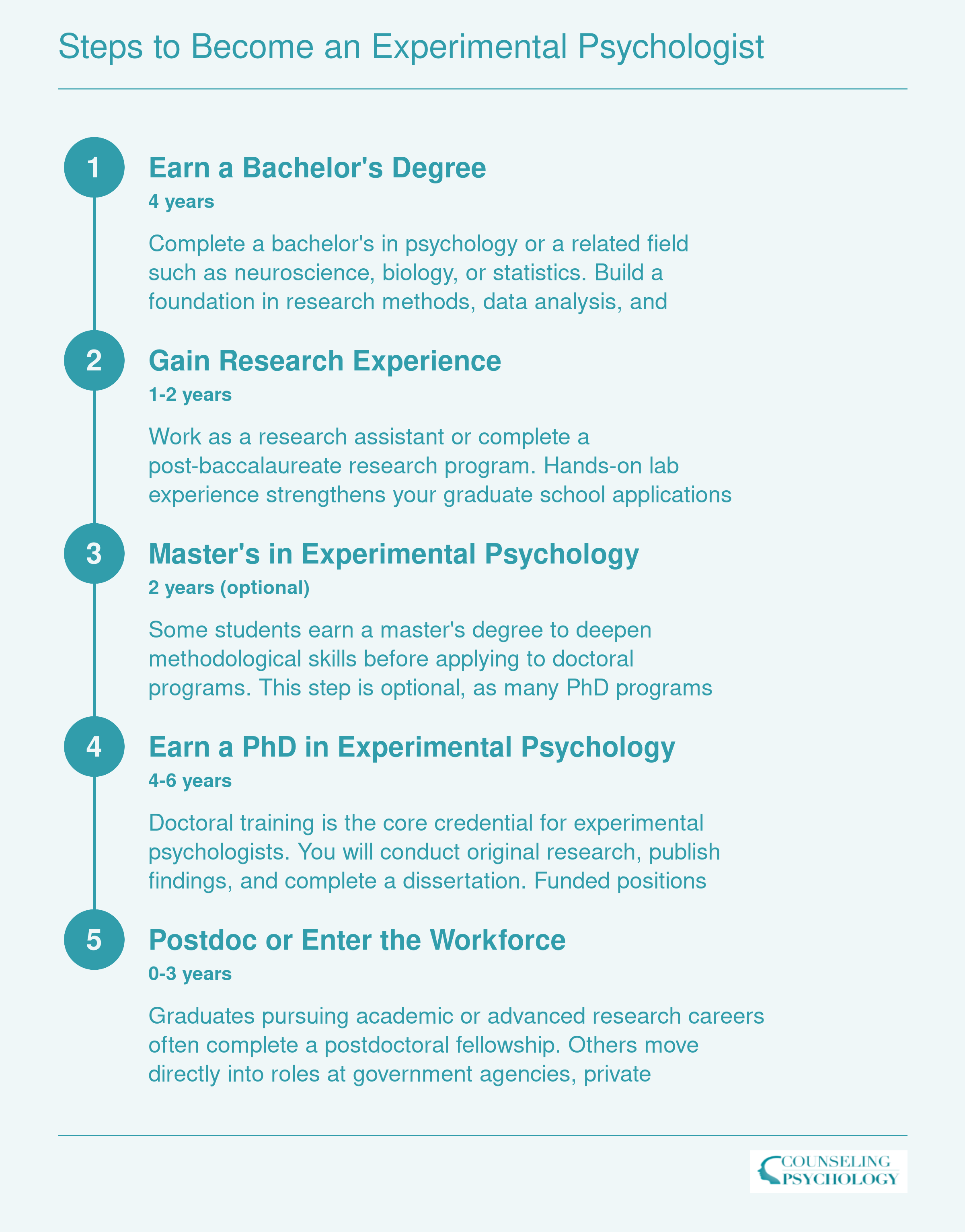 Five-step timeline from bachelor's degree through postdoc, spanning 8 to 12 years total, to become an experimental psychologist