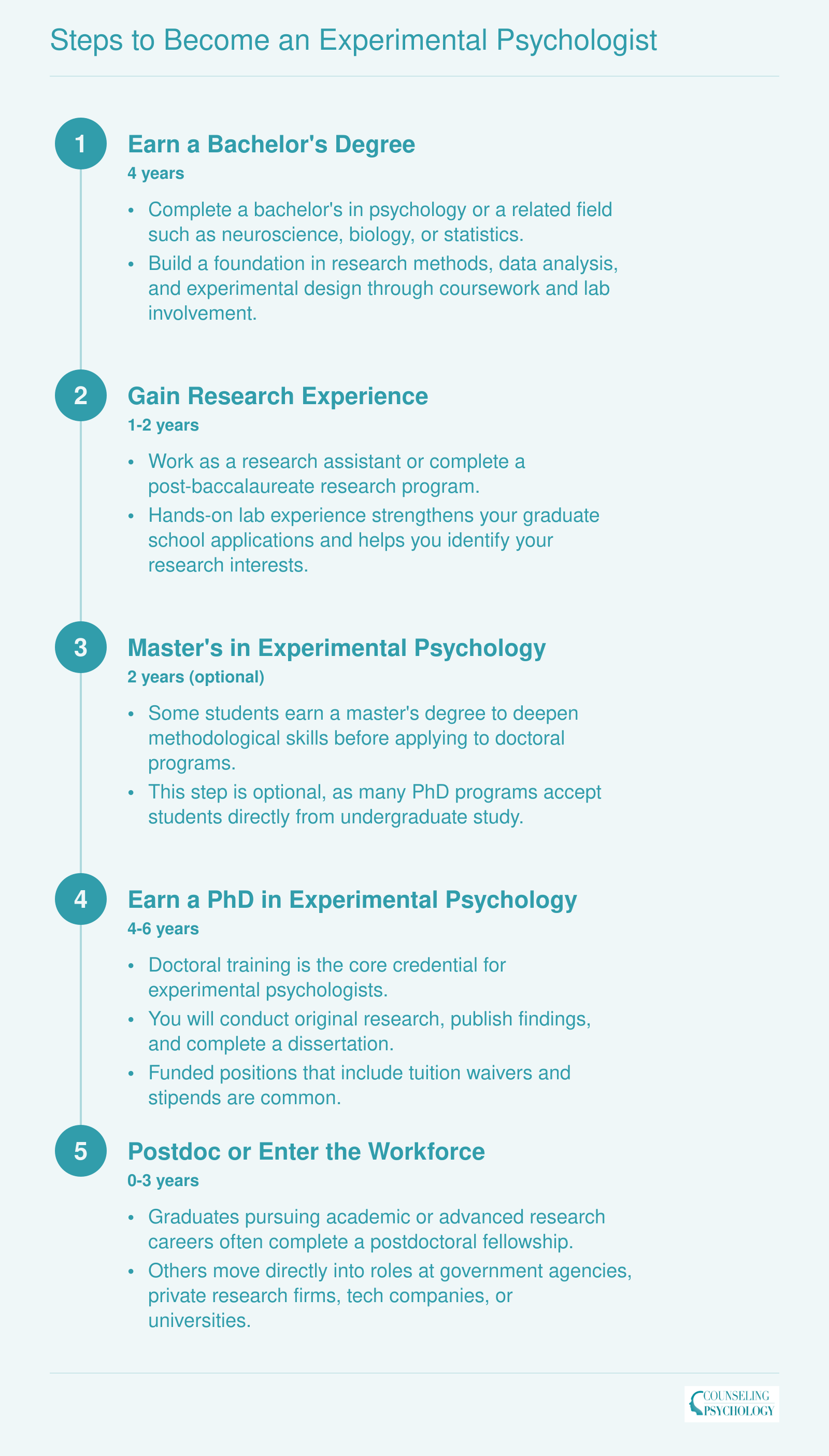 Five-step timeline from bachelor's degree through postdoc, spanning 8 to 12 years total, to become an experimental psychologist