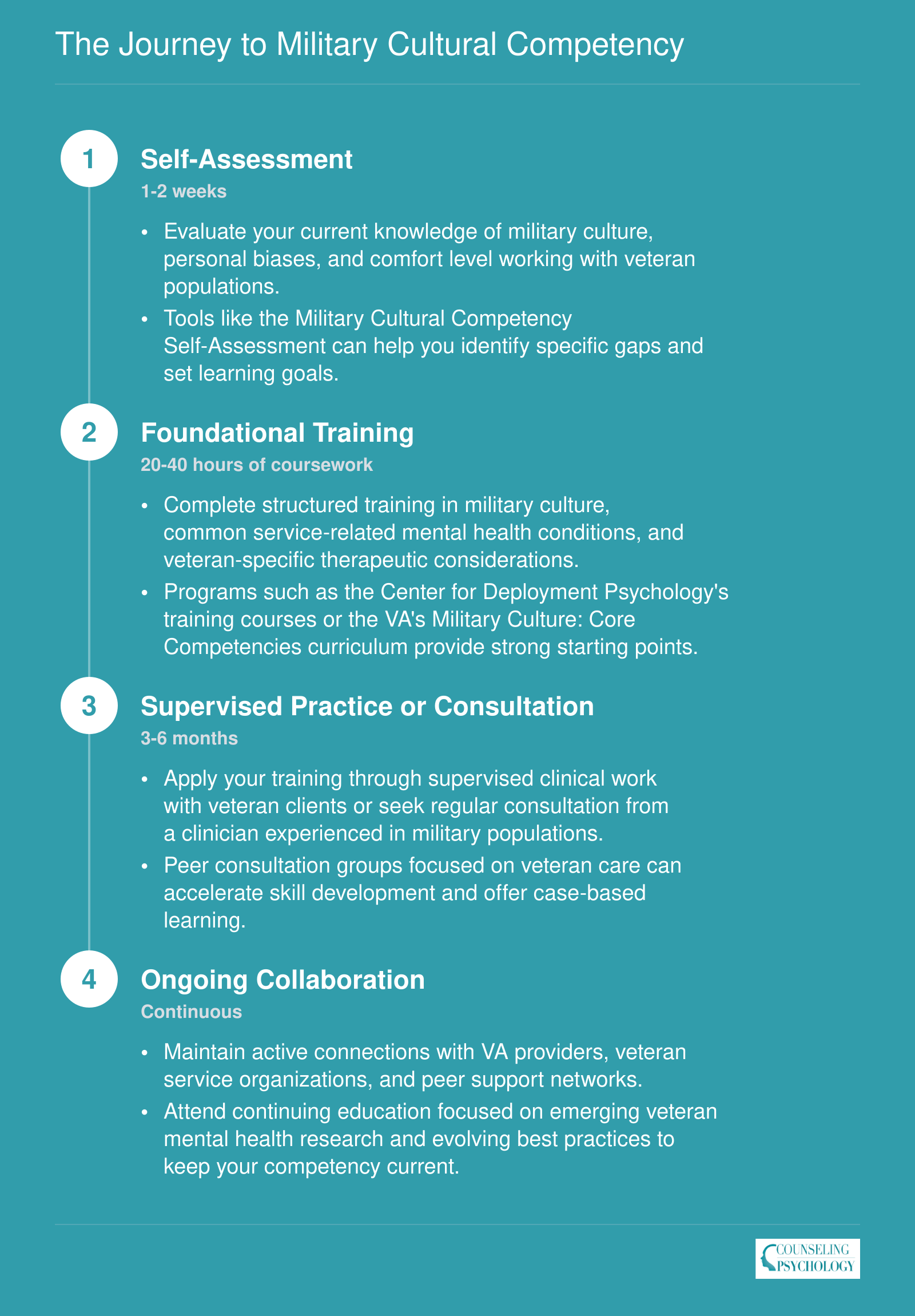 The Journey to Military Cultural Competency