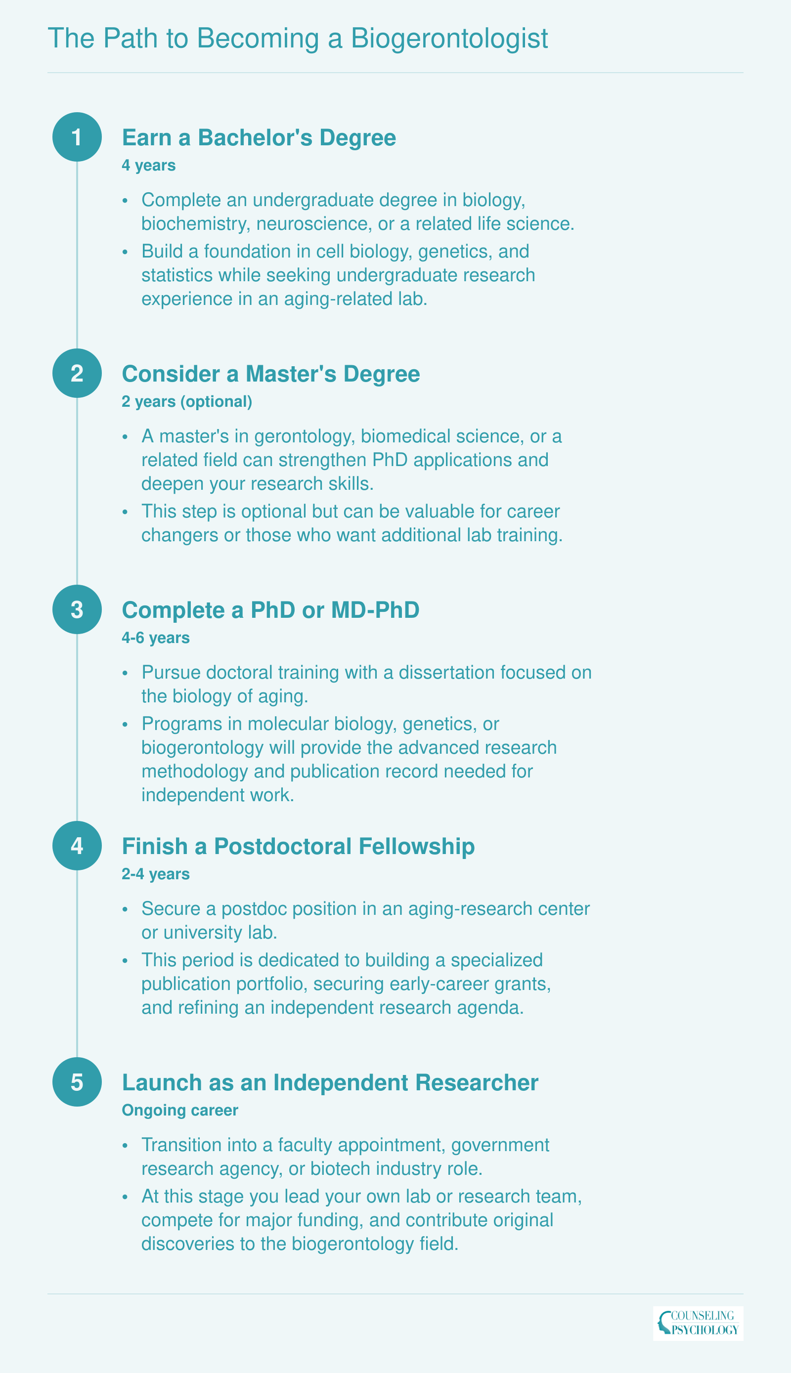 Five-stage credentialing ladder from bachelor's degree through independent researcher, spanning roughly 12 to 18 years total