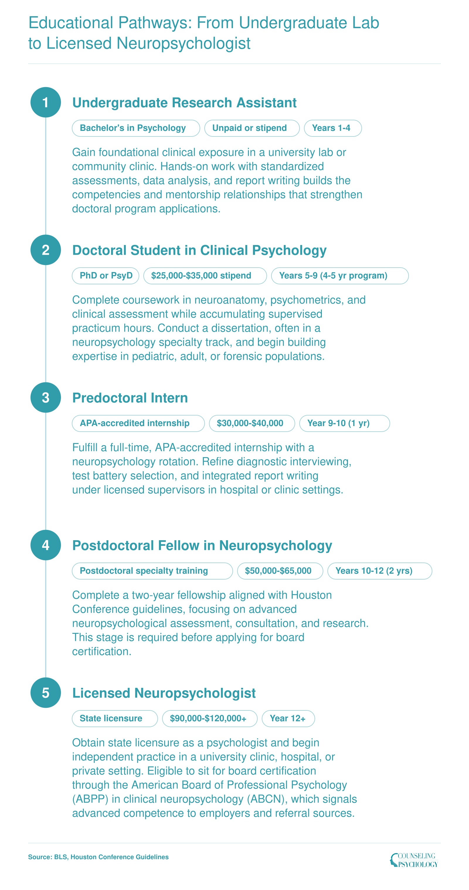 Five stage career pathway from undergraduate lab assistant to licensed neuropsychologist spanning roughly 10 to 12 years