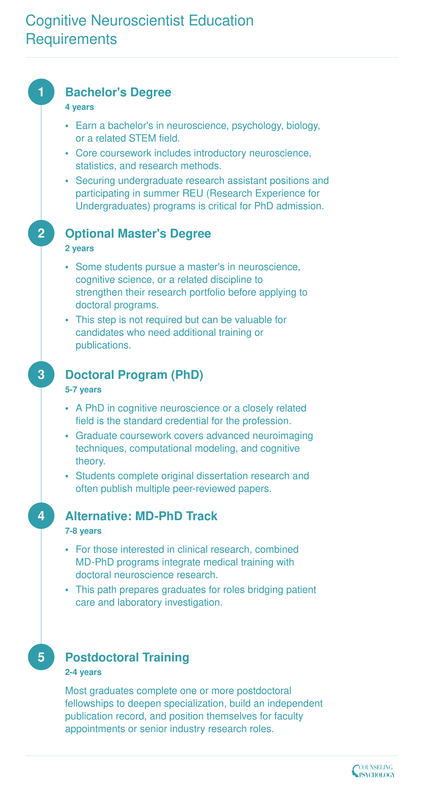 Five-stage education timeline for cognitive neuroscientists, from a 4-year bachelor's degree through postdoctoral training spanning roughly 13 to 23 total years