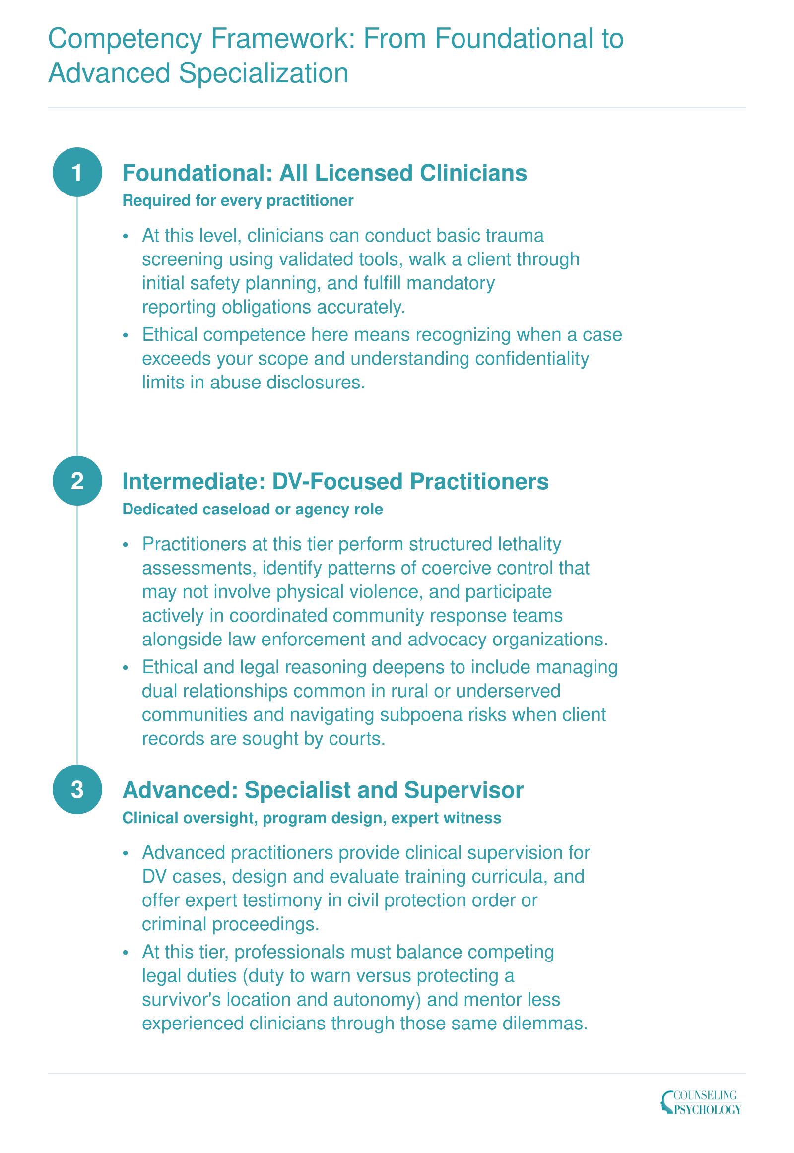 Competency Framework: From Foundational to Advanced Specialization