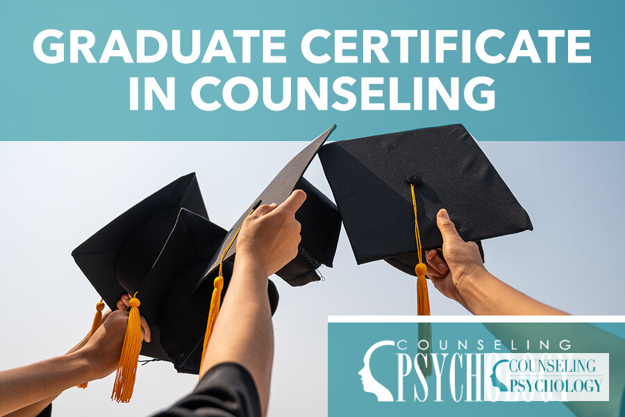 Best Online Graduate Certificate in Counseling Programs 2026