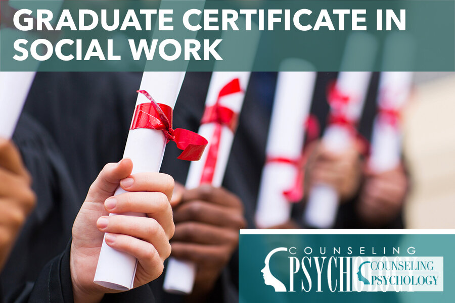 Graduate Certificate in Social Work Online: Programs Guide