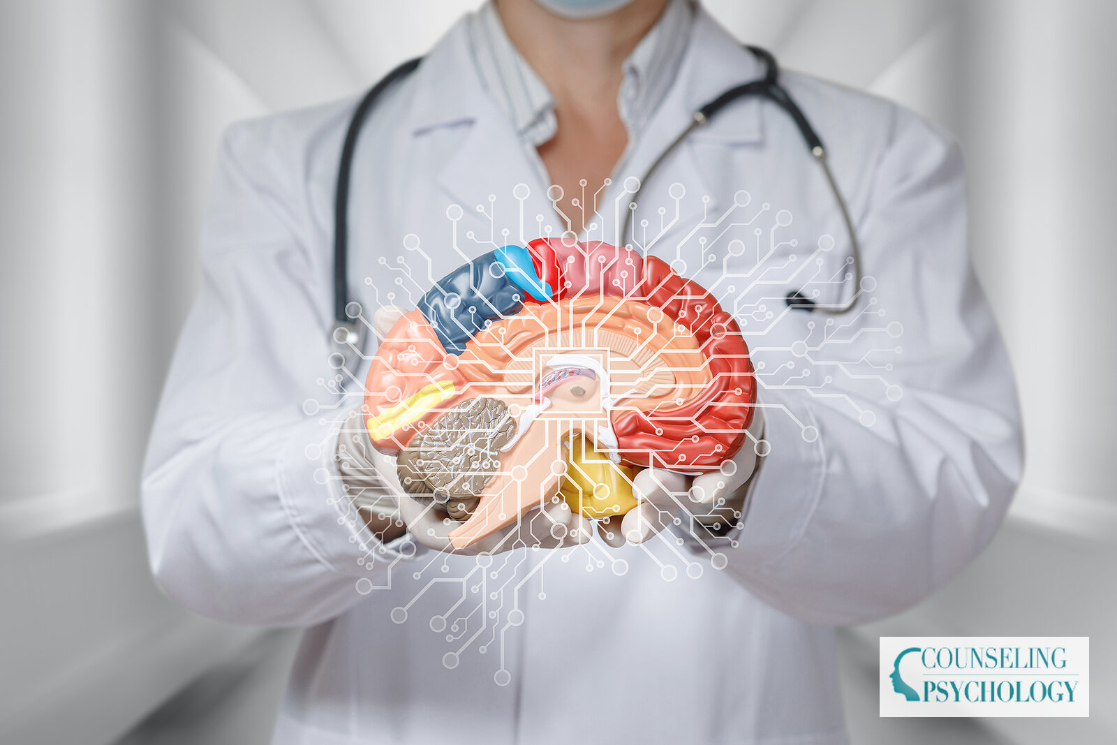 How to Become a Neurologist: Education & Career Steps