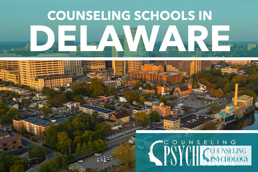 Best Master’s in Counseling in Delaware 2026 | Online & Affordable