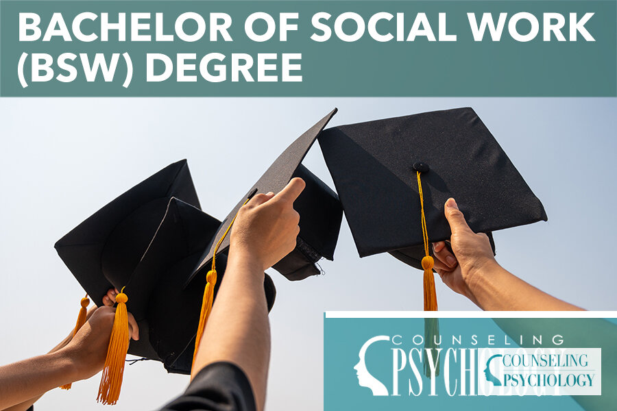 Best Online BSW Programs 2026 | Accredited & Ranked
